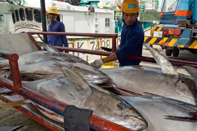 Pescadores en el puerto de Malakal, en Koror, una de las islas de Palaos.