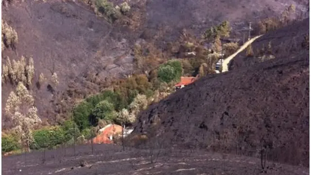 Foto do sítio preservado