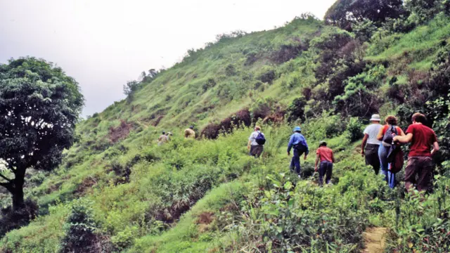 Los Poinar liderando la expedición a la mina La Toca, en el norte de República Dominicana, en 1986.