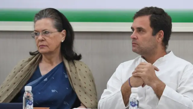 सोनिया गांधी, राहुल गांधी