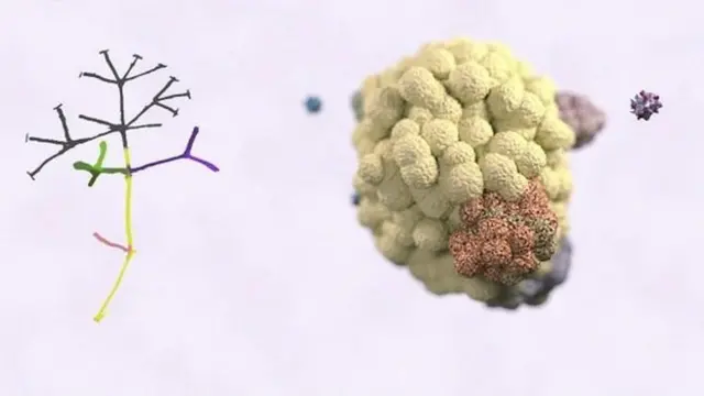 පිළිකා සෛල