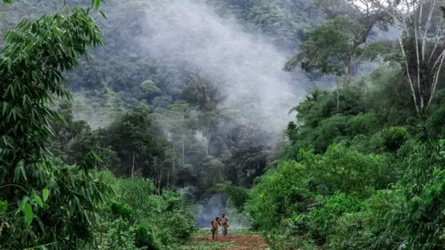 Policiais andando na floresta. É possível ver fumaçaesportes da sorte jogomeio às árvores