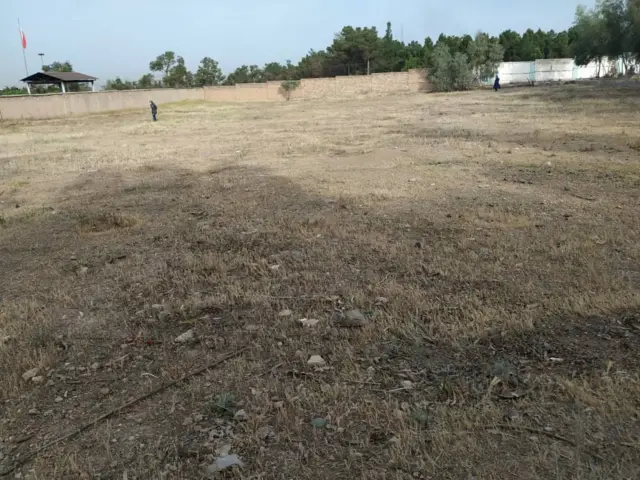 گورستان خاوران