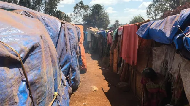 በላስቲክ የተሰሩ መጠለያዎች