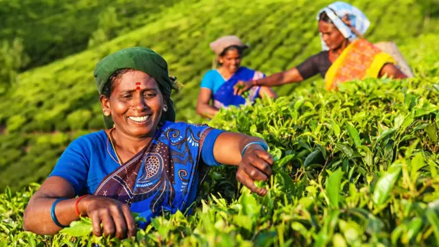 தமிழ்நாடு வேளாண் பட்ஜெட் 2022-23