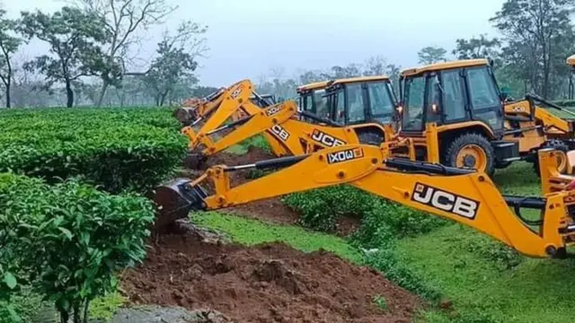 असम चाय बागान