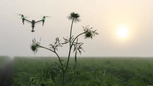 Drone sobrevoa fazenda