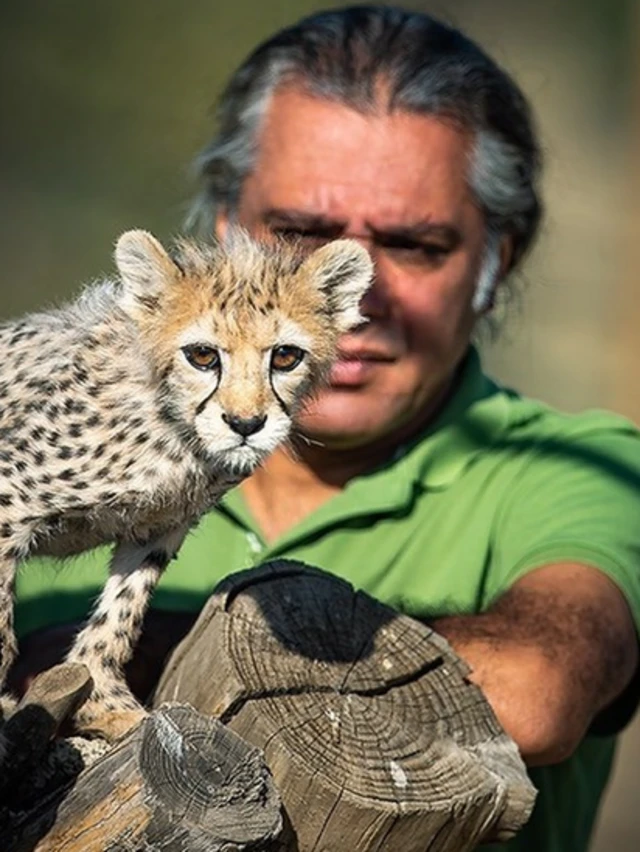 샤르다리와 새끼 치타