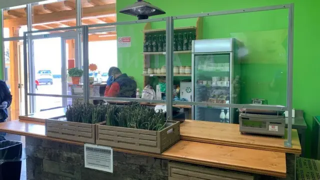 Овочева крамниця