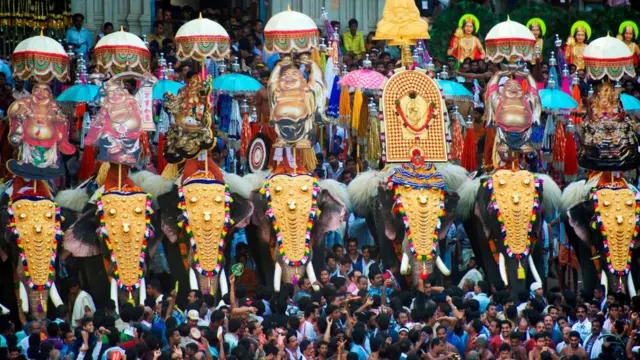 केरल हाथी