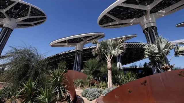 భారీ సోలార్ చెట్లు నీడతోపాటు విద్యుత్ ను అందిస్తాయి