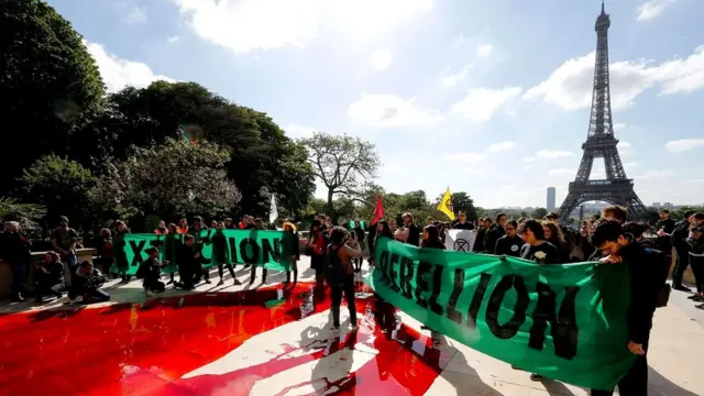 Организаторы протестов "Восстание против вымирания" заявили, что исследование Ченовет вдохновило их