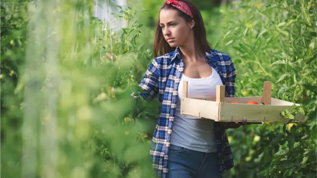 Mövsümi işlərdə çalışanların böyük əksəriyyəti gənclər, qadınlar və miqrantlardır