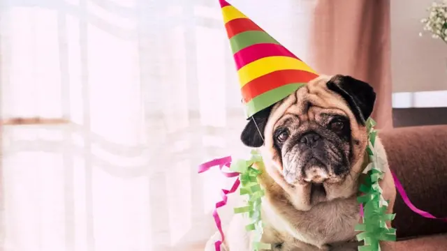 Stopa prema kojoj se biološka starost uvećava zavisi od genetski nasleđenih faktora, mentalnog zdravlja i načina života