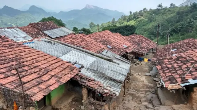 యం.చింతవలస గ్రామం