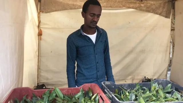 Dargageessa Biqiltuu agarsiisaa jiru