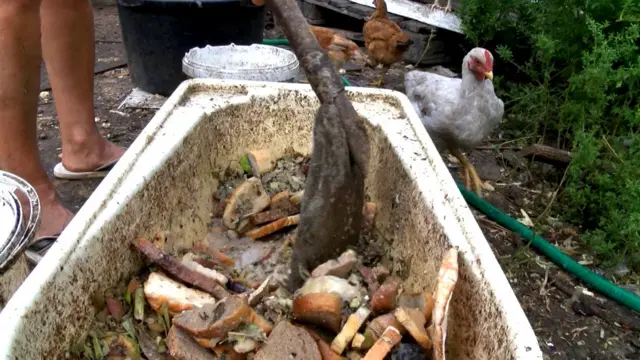 Курячий обід готовий!