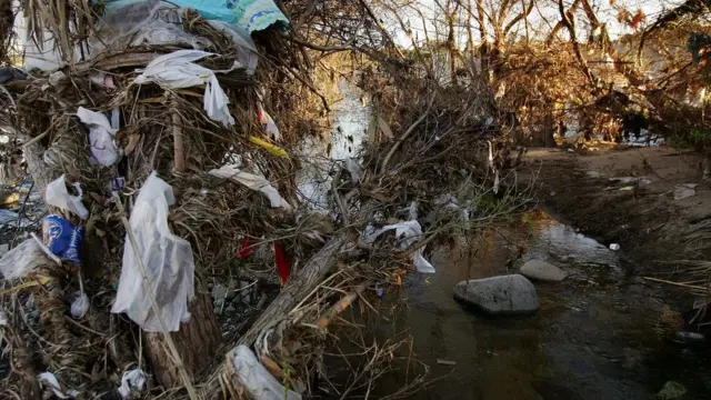 प्लास्टिक प्रदुषण