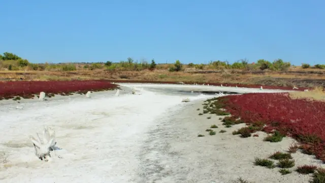 10 неймовірних місць на Сході України, які варто відвідати