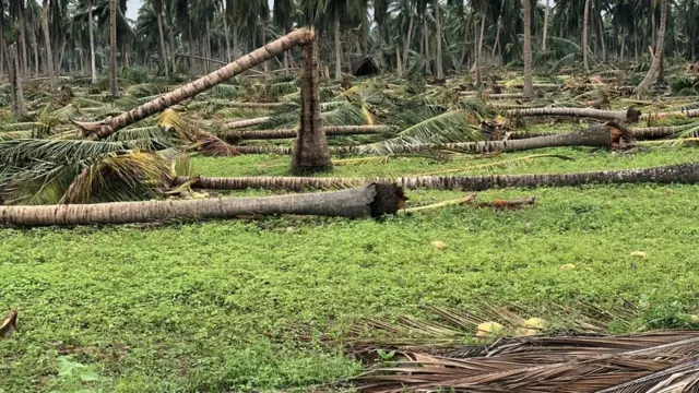 கஜ புயல்