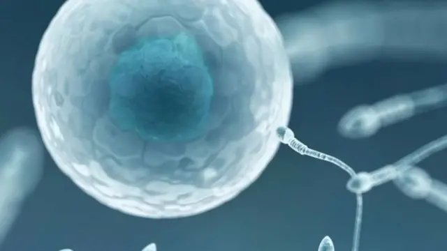 શુક્રાણુ