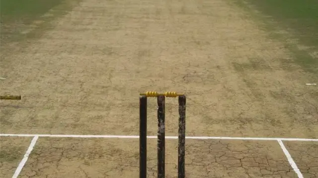 क्रिकेट पिच