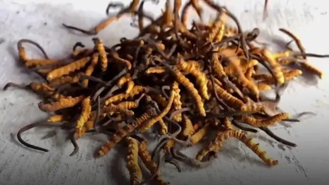 Dawa za nguvu za kiume