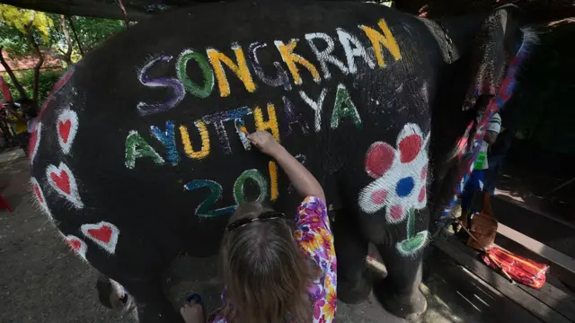 สงกรานต์ช้างที่อยุธยา