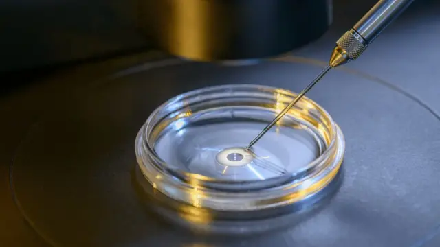 Fertilização in vitro