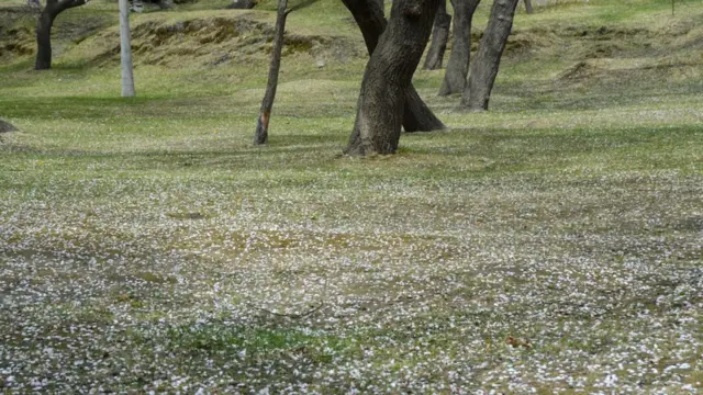 سکردو اور ہنزہ میں موسمِ بہار