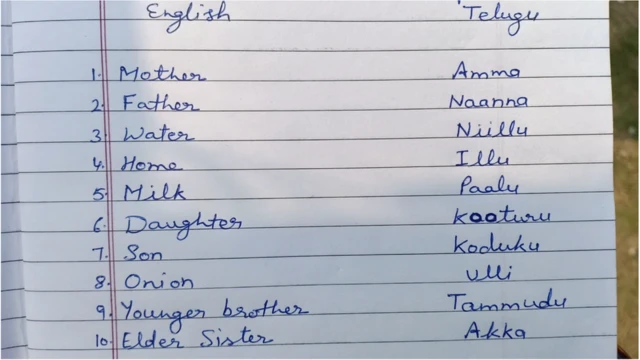 హరియాణా స్కూళ్లలో తెలుగు పాఠాలు