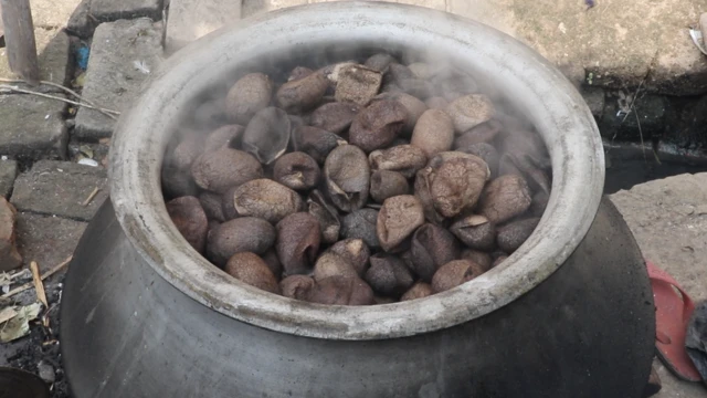 रेशम के कीड़े के कोकून