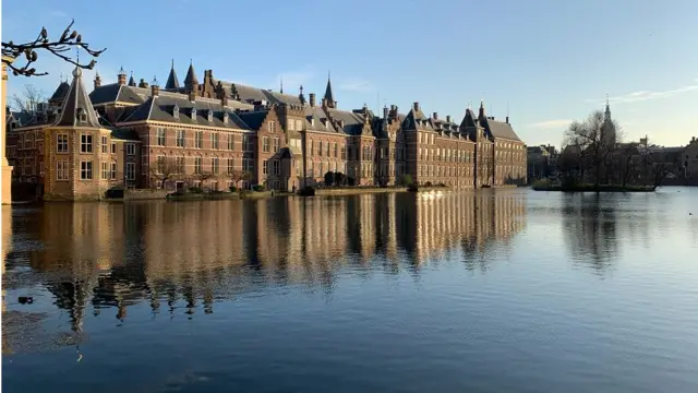 Zaštitni znak grada je dvorac Binenhof