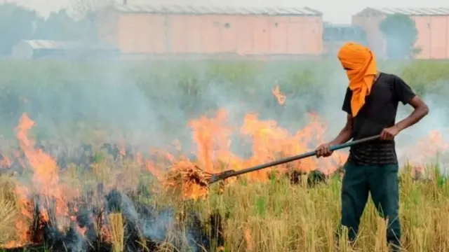 ਪਰਾਲੀ ਨੂੰ ਅੱਗ ਲਾਉਂਦਾ ਇੱਕ ਕਿਸਾਨ