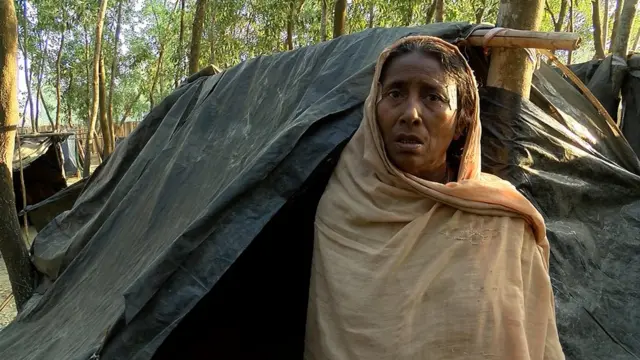 মিয়ানমারে ফিরতে রাজি নন বৃদ্ধা হালিমাও