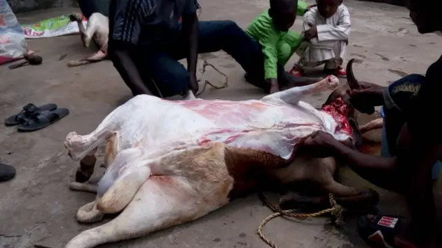 Rago yayin da ake fida