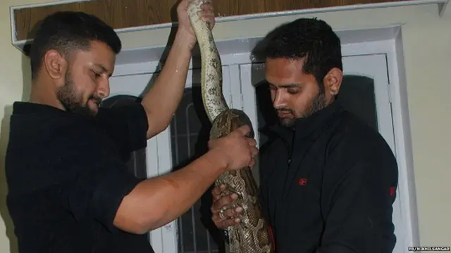 ਸੱਪ, ਨਿਖਿਲ ਸੰਗਰ