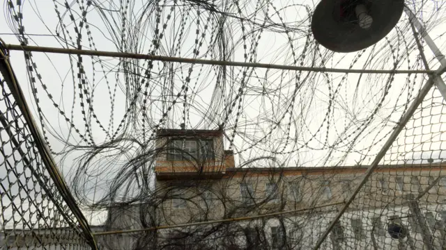 Колючая проволока