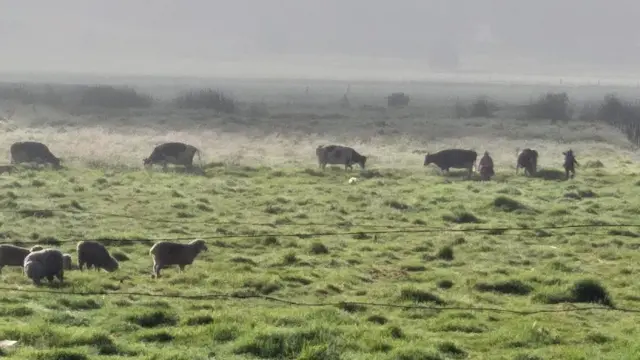 Imagen de la provincia de Azuay, en el sur de Ecuador