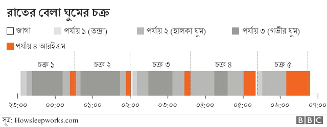 রাতের বেলা ঘুমের চক্র