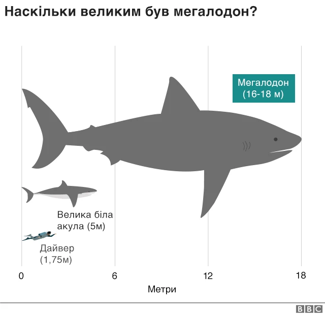 Мегалодони