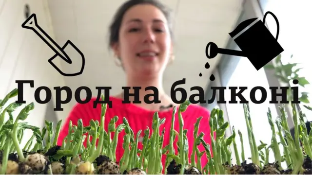 Як створити город на балконі