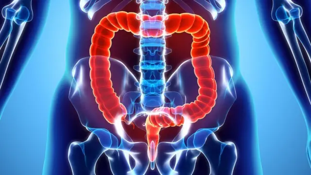 પ્રતીકાત્મક તસવીર
