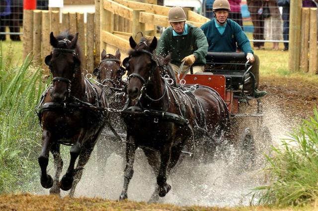 El duque de Edimburgo compite en el Sandringham Country Show de conducción de caballos celebrados en Norfolk.