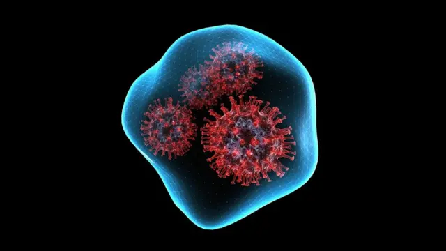 કોરોના સામે રક્ષણ આપતી રસી આ નવા વૅરિયન્ટ સામે કેટલી અસરકારક રહેશે?