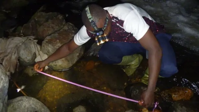 Surveiller les sites de nidification