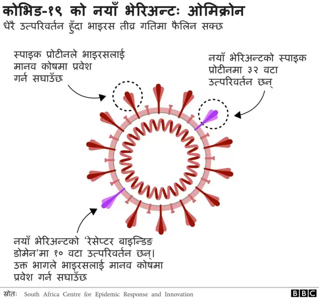 ओमिक्रोन