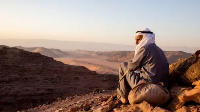 WAEL HUSSEIN AL SAYED