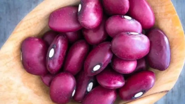 लाल सोयाबीन