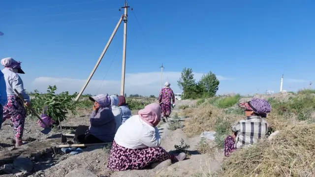 Loli opish lesbian video Oqituvchi yubka ostida porno onlayn